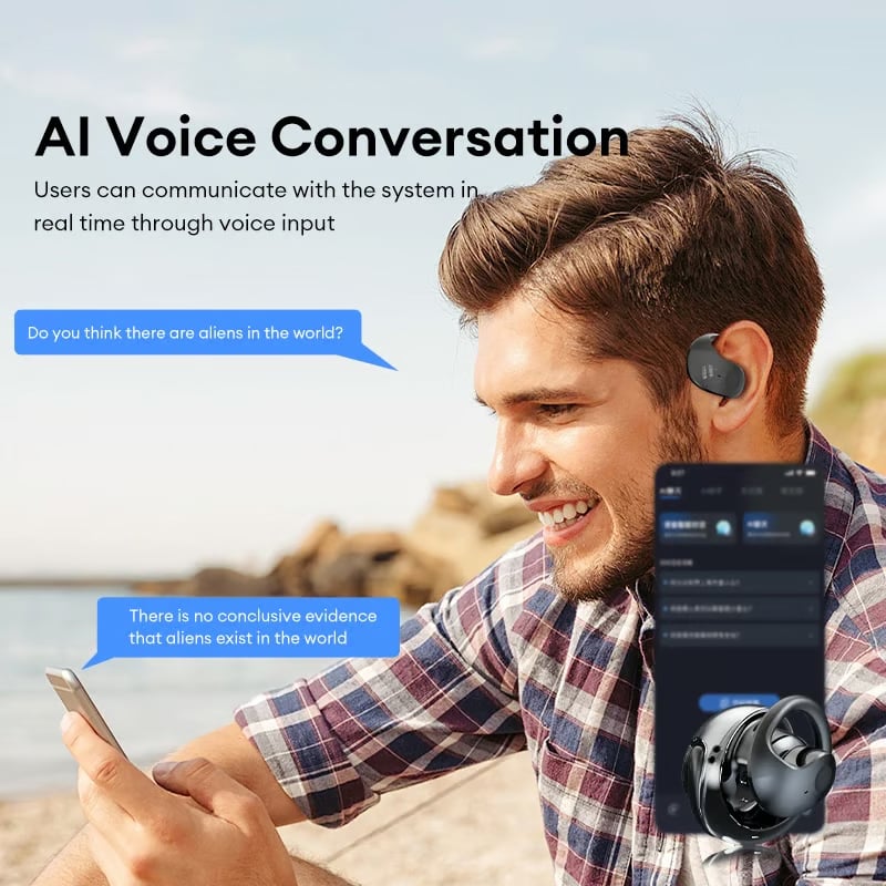 Language Barrier Earbuds