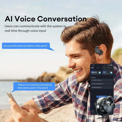 Language Barrier Earbuds